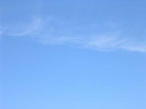 photo from kerry rally