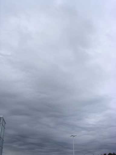 photo from kerry rally