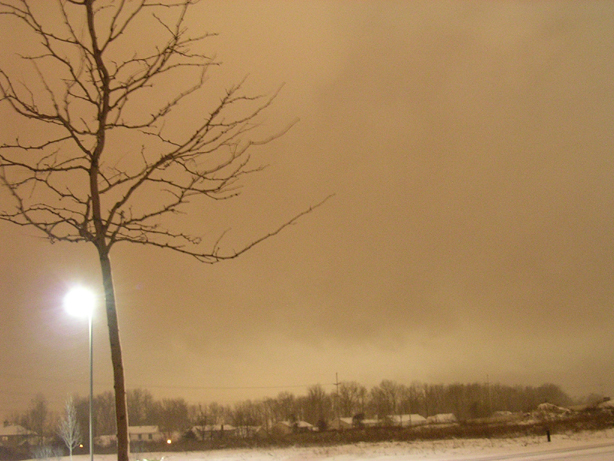 winter landscape