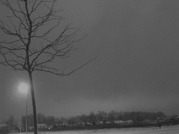 winter landscape