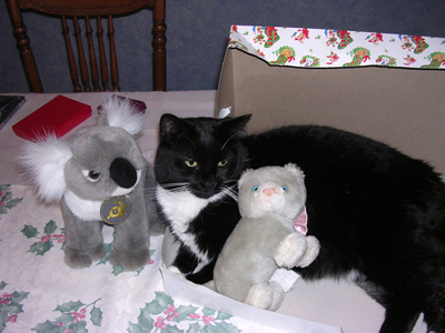'one of these things is not like the other...'