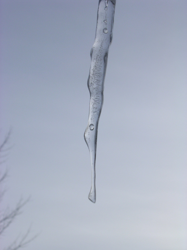 icicle