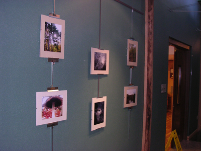 my photos at the carlisle