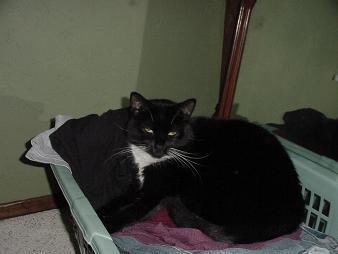 jackson - the goofy adolescent