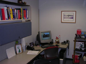 scenes from my office