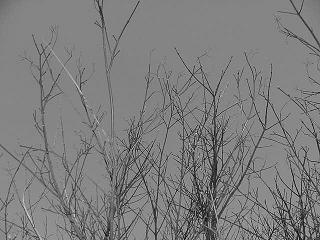photo outside my house
