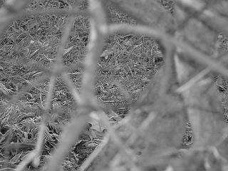 photo outside my house