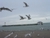 thumbnail 24
