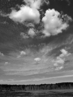 wetlands image