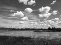 wetlands image