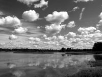 wetlands image